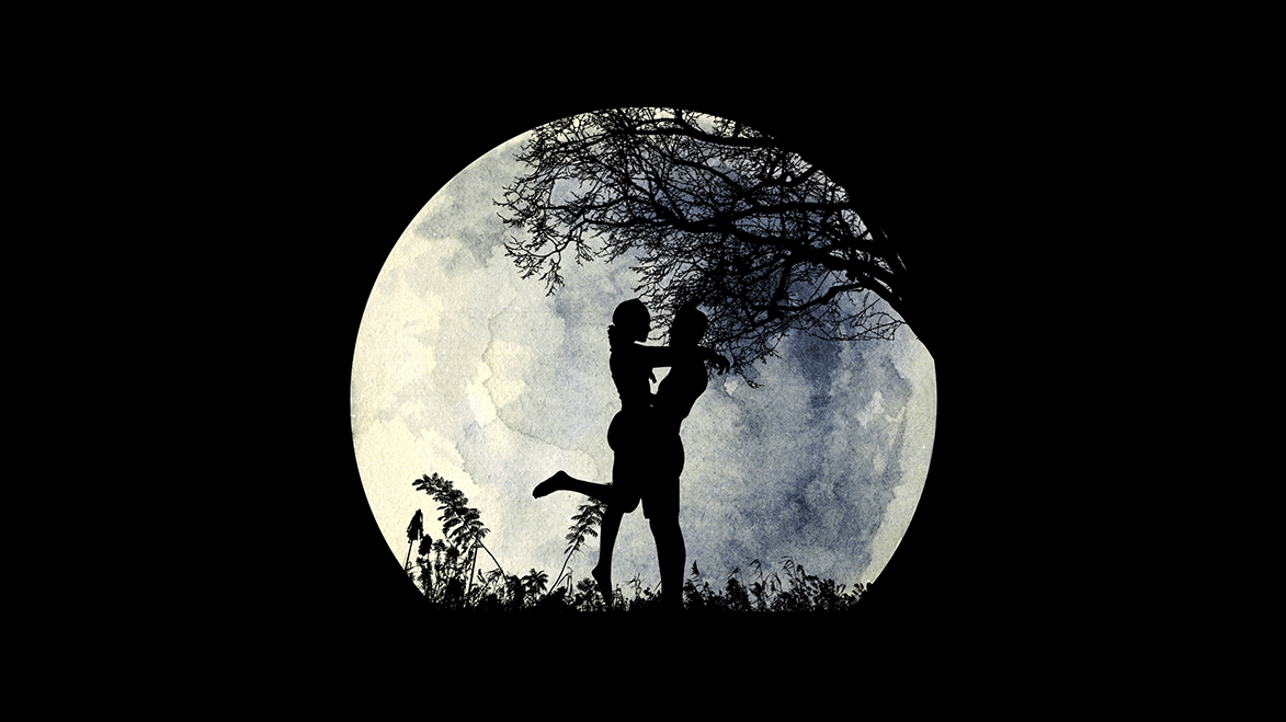 Romance in the moonlight